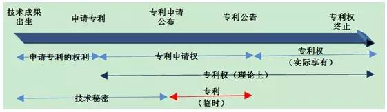 专利侵权临时保护